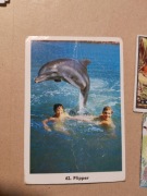 stare kolekcjonerskie karty bring em back alive oraz karta flipper