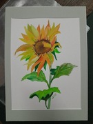 Akwarela słonecznik