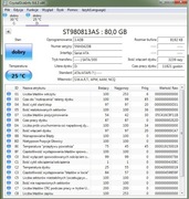 SEAGATE ST980813AS  80 GB, 100% Sprawny