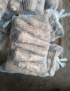 Pietruszka gruba worek 20 kilo z własnej plantacja od rolnika 