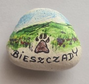 Magnes na lodówkę BIESZCZADY (23). Ustrzyki Solina Polańczyk Tarnica. 