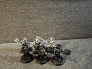 Stormcast Paladins decinators age of Sigmar