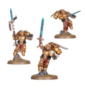 Blood Angels Sanguinary Guard Space Marines