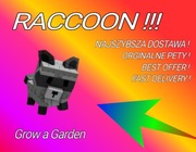 Roblox Grow a Garden RACCOON ! NAJ TANIEJ ! ORYGINAŁ PET !!! FAST !!!