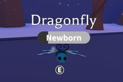 ROBLOX ADOPT ME Dragonfly