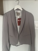 Marynarka A.L.E kolor szary