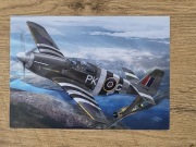 Kartka pocztowa P-51 Mustang Eugeniusz Dziubek Horbaczewski Aviation Art