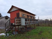 Sprzedam gołębnik wraz z gołębia na BDF