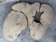 Plaster drewna na stolik kawowy Lipa 90x70