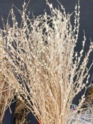 Lepidium trawy zboże suszone naturalne susz krajowy