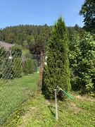 działka rekreacyjna 5 a   krynica czarny potok