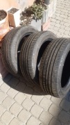 Opony Letnie Zeetex 195/55 R16 