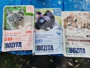 Karma saszetki dla kota bozita