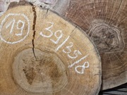 ORZECH CZARNY Amerykański 39/35/8 cm Wysuszony Blat Plaster Drewna Stolik