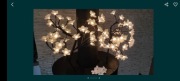 Lampki nocne "drzewko bonzai"