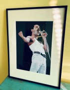 Oprawiony obraz/ druk cyfrowy Freddie Mercury