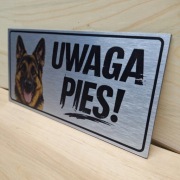 TABLICZKA UWAGA PIES – DIBOND SZCZOTKOWANY 26x13 CM