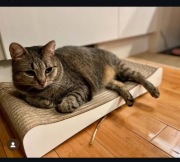 ECO drapak dla kota LEŻANKA z drewnianym frontem od Kocie Sprawki