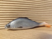 Przynęta gumowa Alpha Real Fish płotka 11cm Natura 