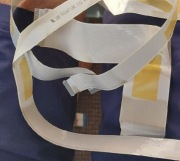 Panasonic  taśmy plazma