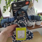 Szelki dla psa guard