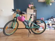 Rower Giant Liv Enchant 24 wersja Mint