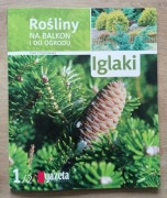 Iglaki Rośliny na balkon i do ogrodu Ewa Chojnowska