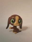 pies BASSET Bree La Bassette #255 Littlest Pet Shop LPS Hasbro