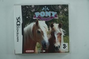 Pony Friends nintendo ds