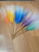 Tęczowa trawa pampasowa 20 sztuk 