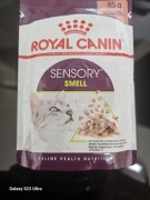 Royal Canin FHN Sensory Smell gravy 11szt x 85g Karma dla dorosłych kotów 