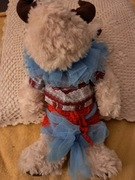 Maskotka  pluszak łoś .