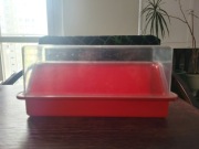 Plastikowy pojemnik na chleb czerwony przeźroczysty Vintage