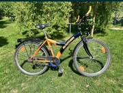 Rower Panther 26” Shimano Nexus 7 damka młodzieżowy