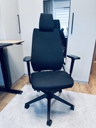 Ergonomiczne krzesło biurowe Interstuhl