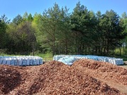 Kora sosnowa Gruba 80L Pisz,Wegorzewo,Ryn.EŁK