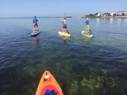 SUP paddleboarding surfing deska