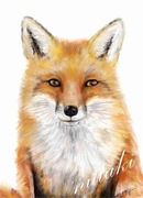 PLAKAT B2 50x70 LIS lisek las zwierzę leśne MONTESSORI