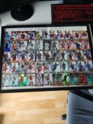 Karty Panini Champions League 2011/2012