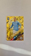 KARTA FIFA 365 2024 PANINI TOP MASTER ERLING HAALAND