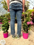 mandevilla, Mandevilla sanderi Sundaville, 40-120cm, roślina kwitnąca