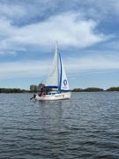 Czarter  Sasanka Antila