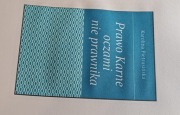 Prawo karne oczami nie prawnika