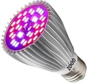 ŻARÓWKA LED GROW LIGHT DO UPRAWY ROŚLIN 40W E27