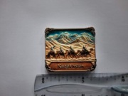 Magnes na lodówkę - 835g. KAZACHSTAN