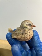 figurka wloska ozdobna realistyczny ptaszek FARO A. LUCCHESI BIRD