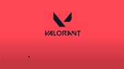 Valorant -Pełna wersja na własność + skiny