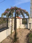 Pergole parasol     