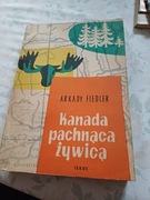Kanada pachnącą żywicą