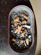 Petardownia abstrakcja.